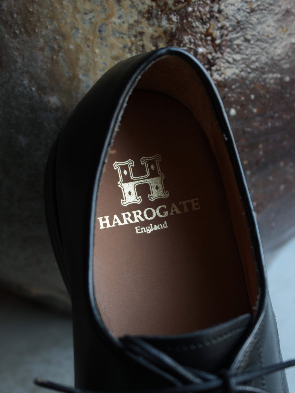 今シーズンのHARROGATE。