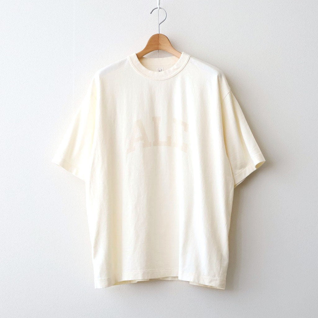 ALE-Y 88/12 Print Tee WIDE #Ivory×Fade/Bage-PT [bROOTS25S36S26A]