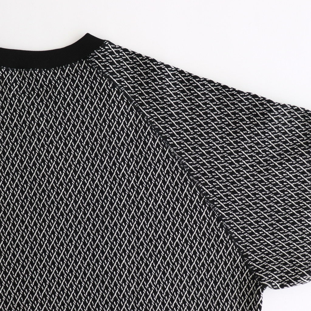RAGLAN CREW NECK #BLACK×IVORY [M25C15CS02C]