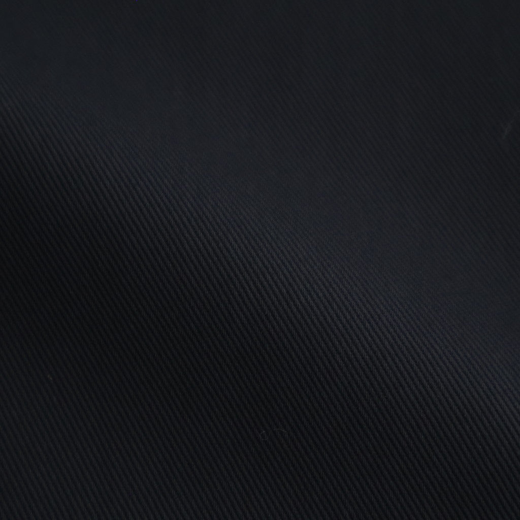 TRIPLE PLEATED WIDE TROUSERS #BLACK [A26A93PT03C]