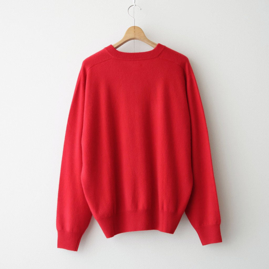 CASHMERE B VNECK MENS #RED [26W-BIS-KN41M]
