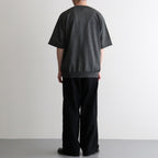 HEMP BROWSING T-SHIRT #GRAY [BN-26SM-079]