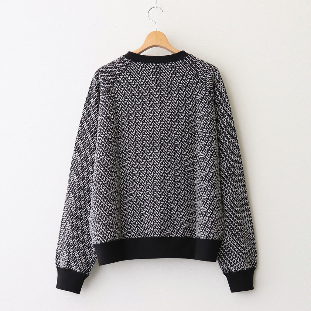 RAGLAN CREW NECK #BLACK×IVORY [M25C15CS02C]