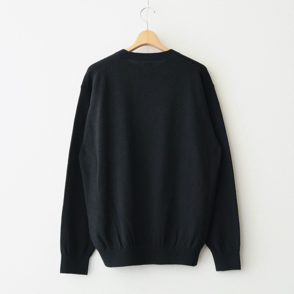 REVIVAL SILK CREW NECK #BLACK [BN-26SM-041]