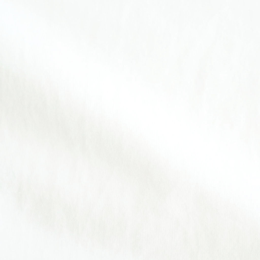 RAREGROOVE Print Tee WIDE #White×White-PT [bROOTS25S34S26B]