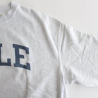 PRINT Sweat Hoodie P/O Big #HeatherWhite×ALE-Y [bROOTS23F27P]