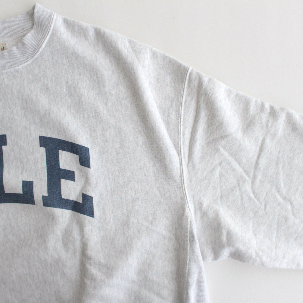 PRINT Sweat Hoodie P/O Big #HeatherWhite×ALE-Y [bROOTS23F27P]