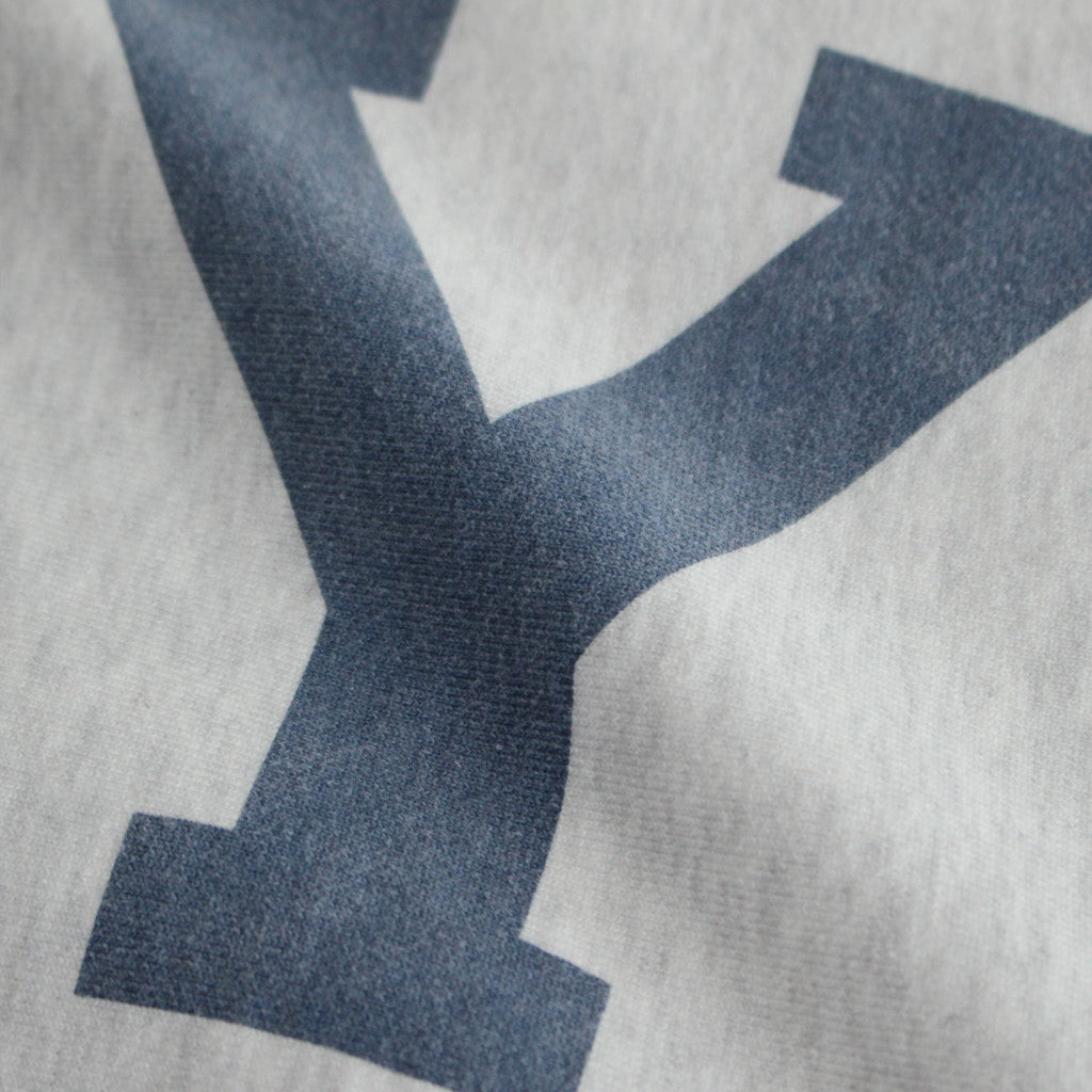 PRINT Sweat Hoodie P/O Big #HeatherWhite×ALE-Y [bROOTS23F27P]