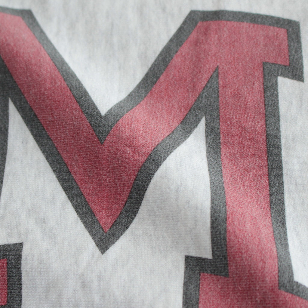 PRINT Sweat Hoodie P/O Big #HeatherWhite×IT-M [bROOTS23F27P]