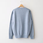REVIVAL SILK CREW NECK #GRAYISH SAX [BN-26SM-041]