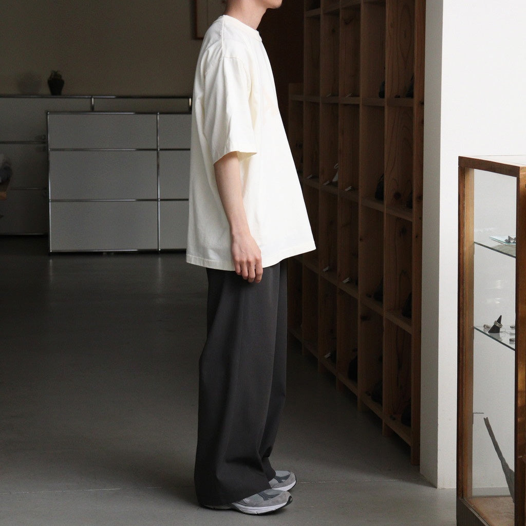 ALE-Y 88/12 Print Tee WIDE #Ivory×Fade/Bage-PT [bROOTS25S36S26A]