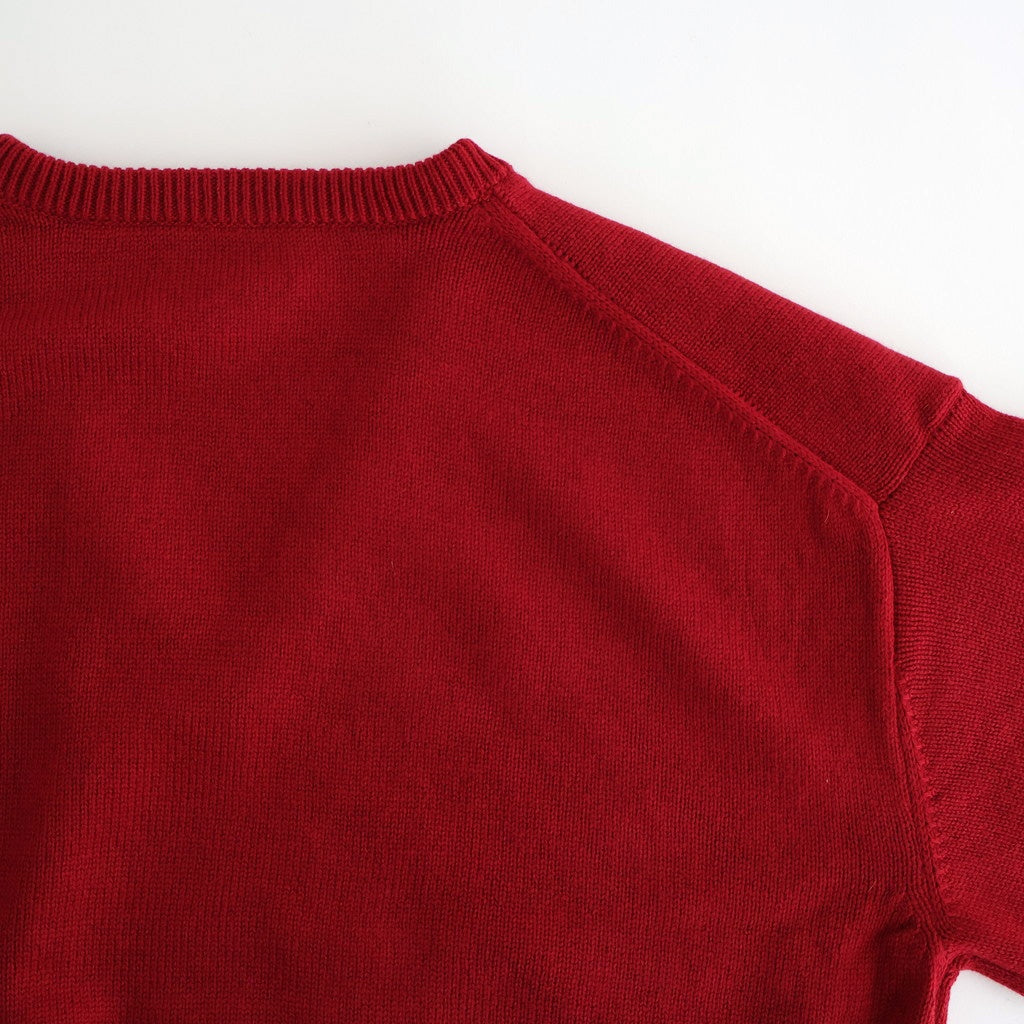 Cashmere V-neck Pullover #RED [NEP-AW2415UNI]