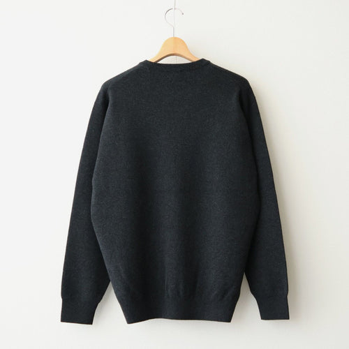 SUNSHINE CASHMERE CREW NECK #HEATHER BLACK [BN-26FM-057]