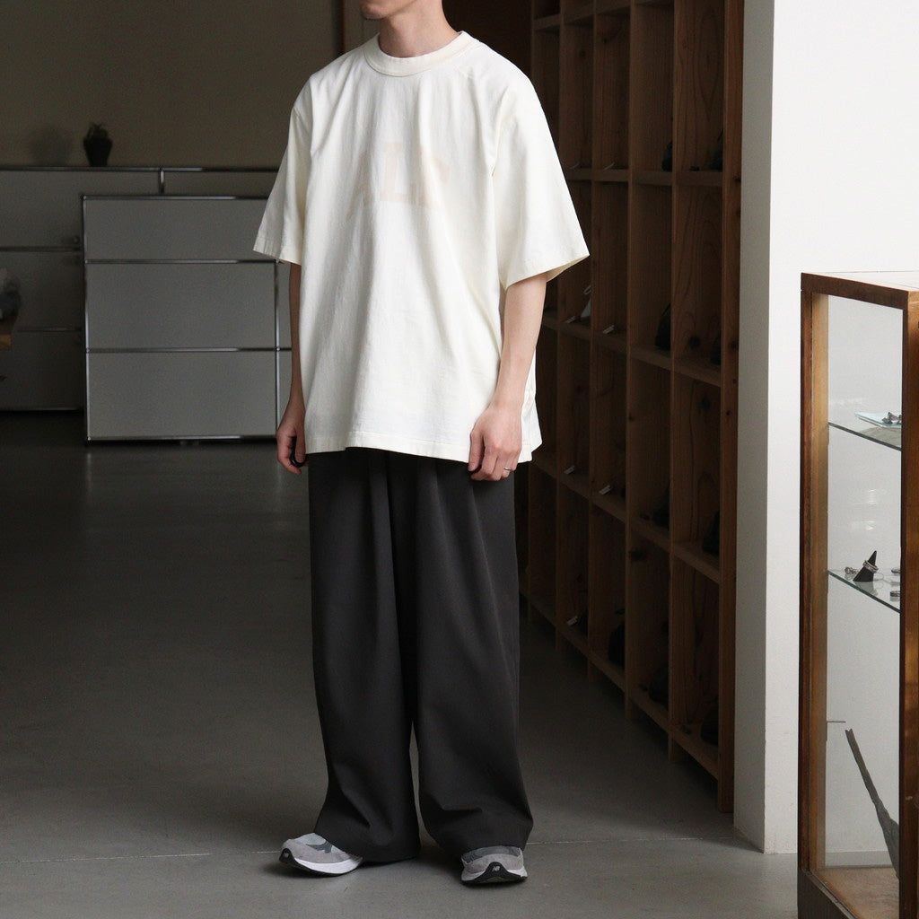 ALE-Y 88/12 Print Tee WIDE #Ivory×Fade/Bage-PT [bROOTS25S36S26A]