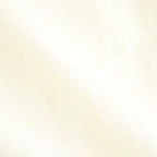 COTTON VOILE LAWN LONG SLEEVE SH #060 LIGHT YELLOW [16861 50081]