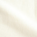 ALE-Y 88/12 Print Tee WIDE #Ivory×Fade/Bage-PT [bROOTS25S36S26A]