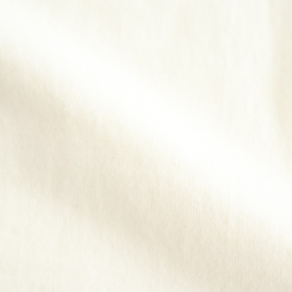 ALE-Y 88/12 Print Tee WIDE #Ivory×Fade/Bage-PT [bROOTS25S36S26A]