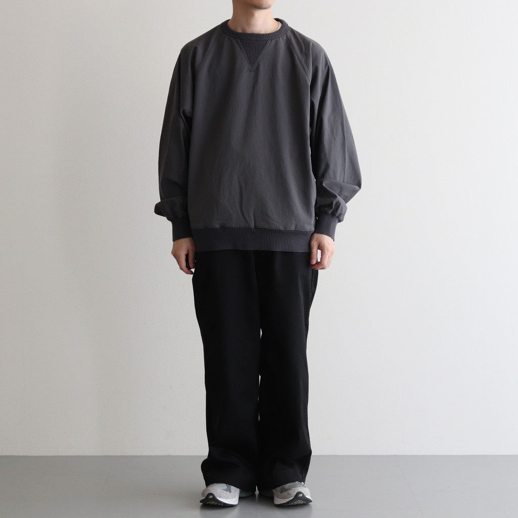 ALPHADRY Crewneck Jumper #Asphalt Gray [N25FA006]