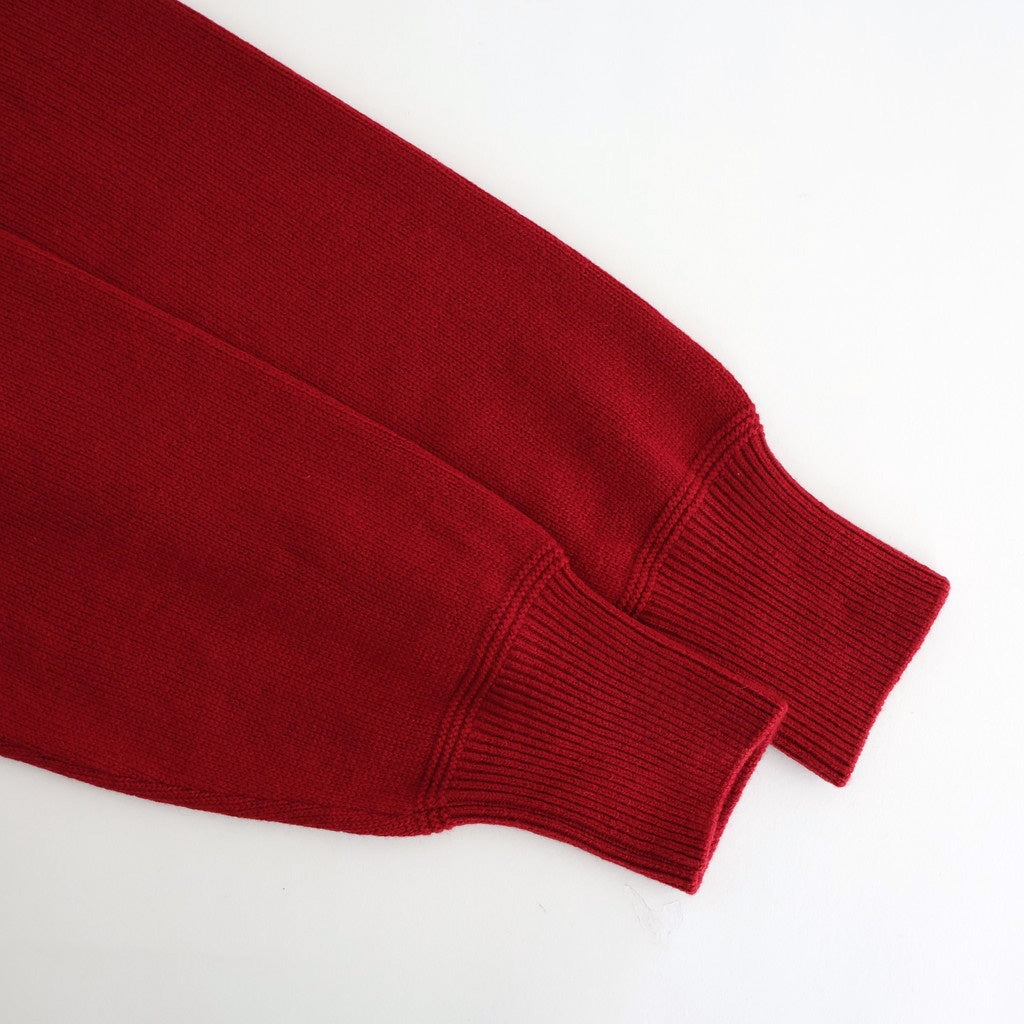 Cashmere V-neck Pullover #RED [NEP-AW2415UNI]