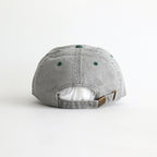 PIGMENT BASEBALL CAP #GRAY/GREEN [DNS25H02]
