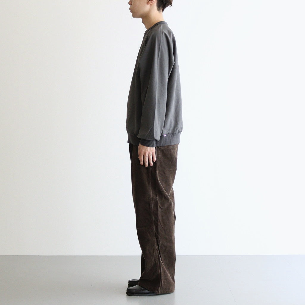 ALPHADRY Crewneck Jumper #Asphalt Gray [N25FA006]