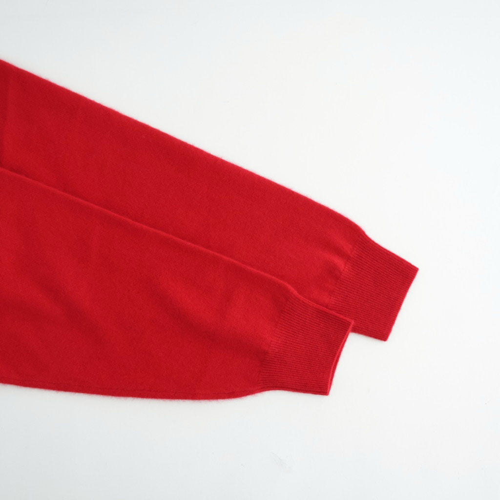 CASHMERE B VNECK MENS #RED [26W-BIS-KN41M]