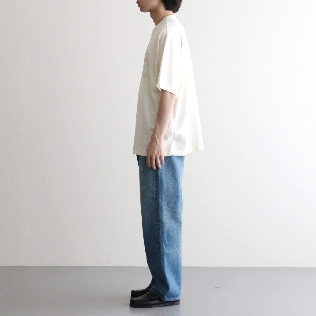 ALE-Y 88/12 Print Tee WIDE #Ivory×Fade/Bage-PT [bROOTS25S36S26A]