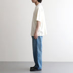 ALE-Y 88/12 Print Tee WIDE #Ivory×Fade/Bage-PT [bROOTS25S36S26A]