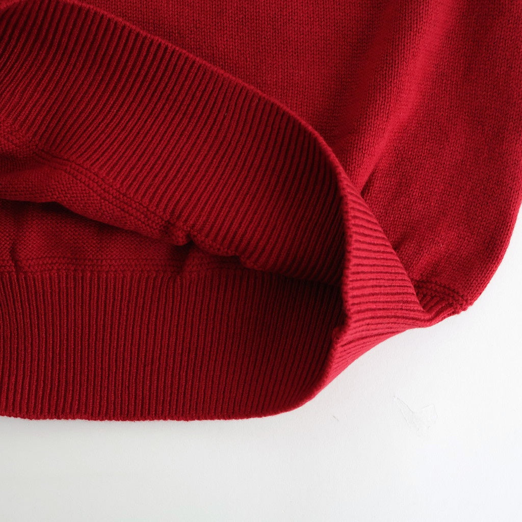 Cashmere V-neck Pullover #RED [NEP-AW2415UNI]