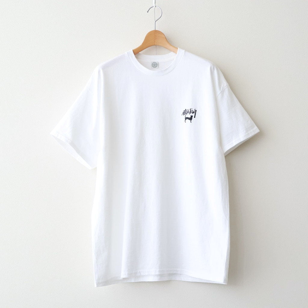 DN CAT SHORT SLEEVE T-SHIRT #WHITE [DNS26T06]