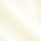 COTTON VOILE LAWN LONG SLEEVE SH #060 LIGHT YELLOW [17061 50081]