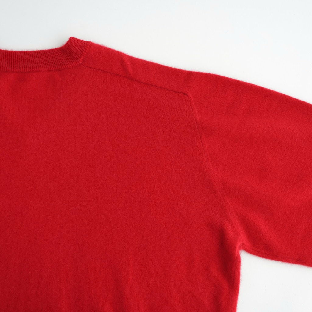 CASHMERE B VNECK MENS #RED [26W-BIS-KN41M]