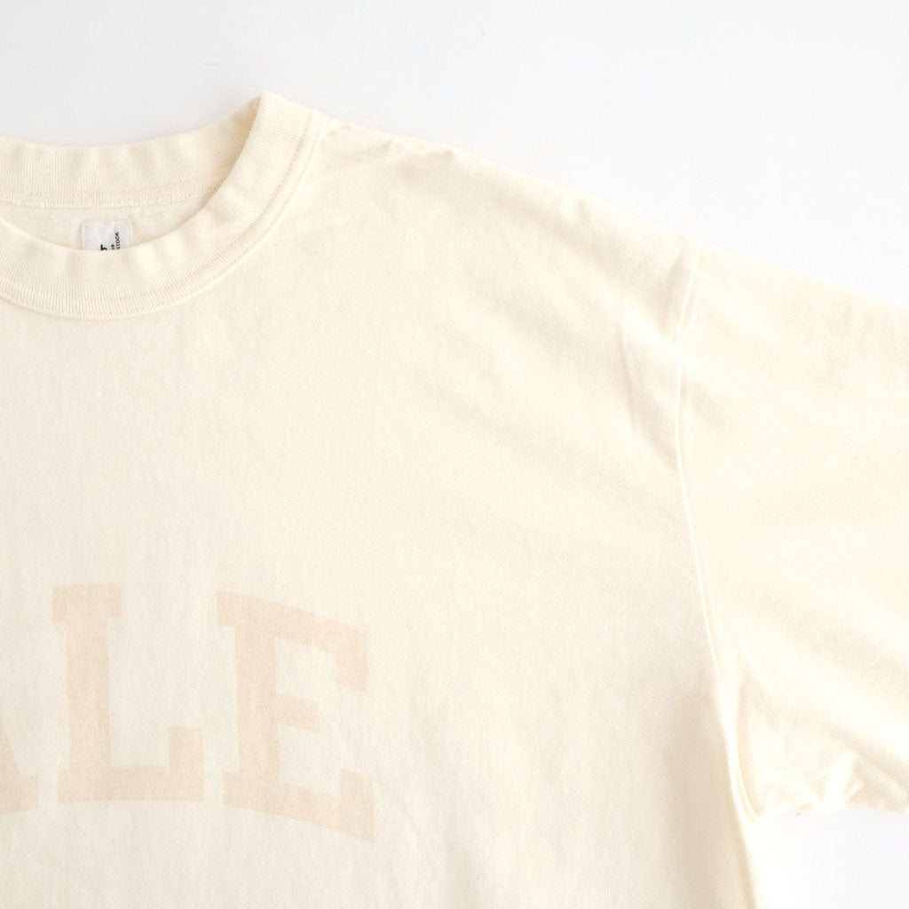 ALE-Y 88/12 Print Tee WIDE #Ivory×Fade/Bage-PT [bROOTS25S36S26A]