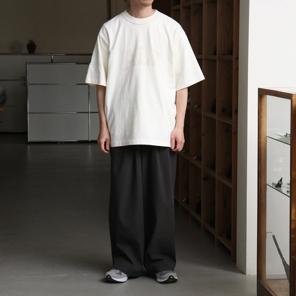 ALE-Y 88/12 Print Tee WIDE #Ivory×Fade/Bage-PT [bROOTS25S36S26A]