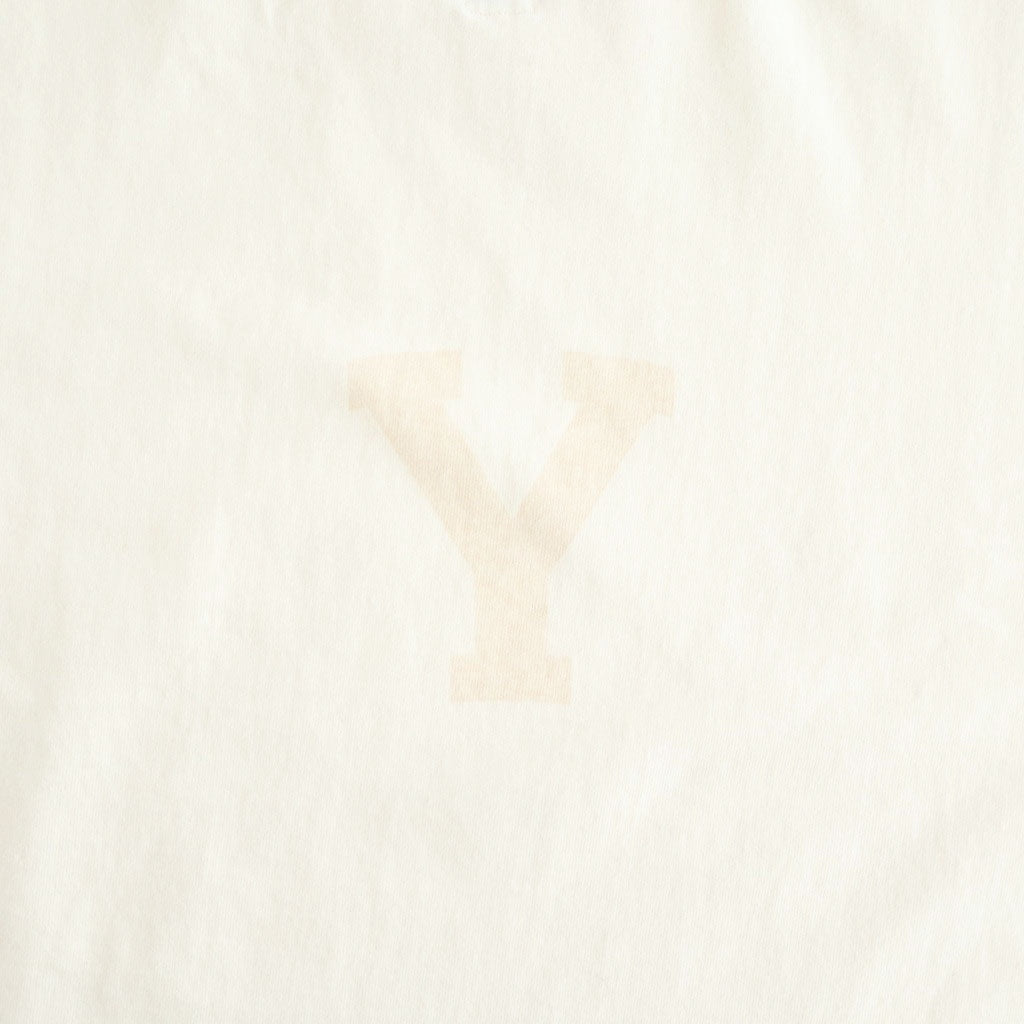 ALE-Y 88/12 Print Tee WIDE #Ivory×Fade/Bage-PT [bROOTS25S36S26A]